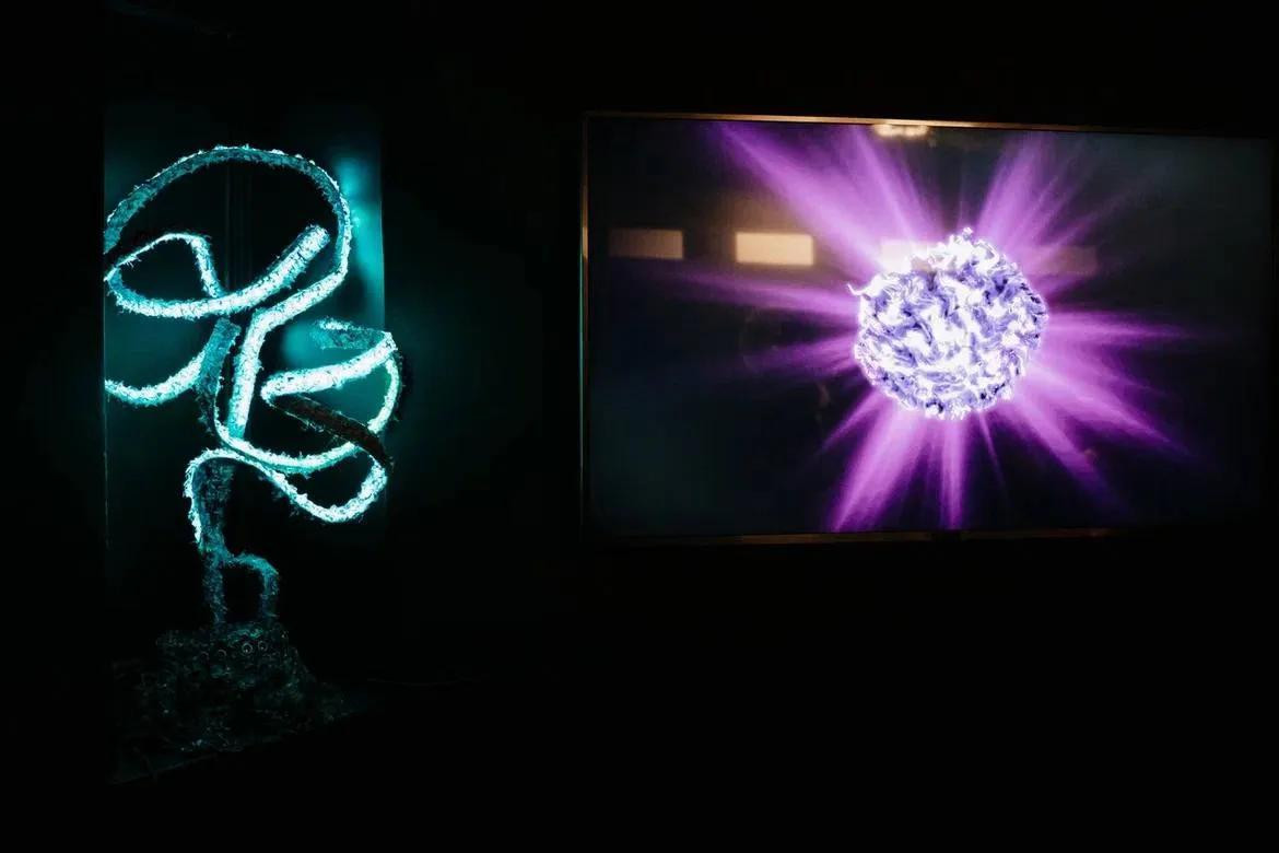 Light Installation