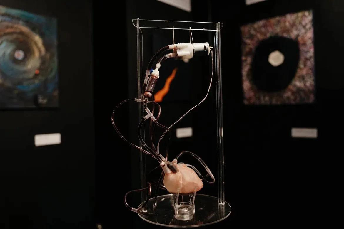 Heart Installation